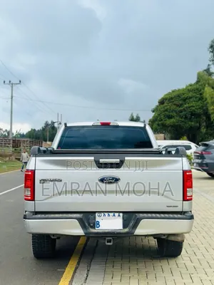 Ford F-150 2015 Silver