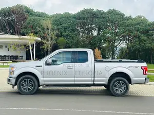 Ford F-150 2015 Silver