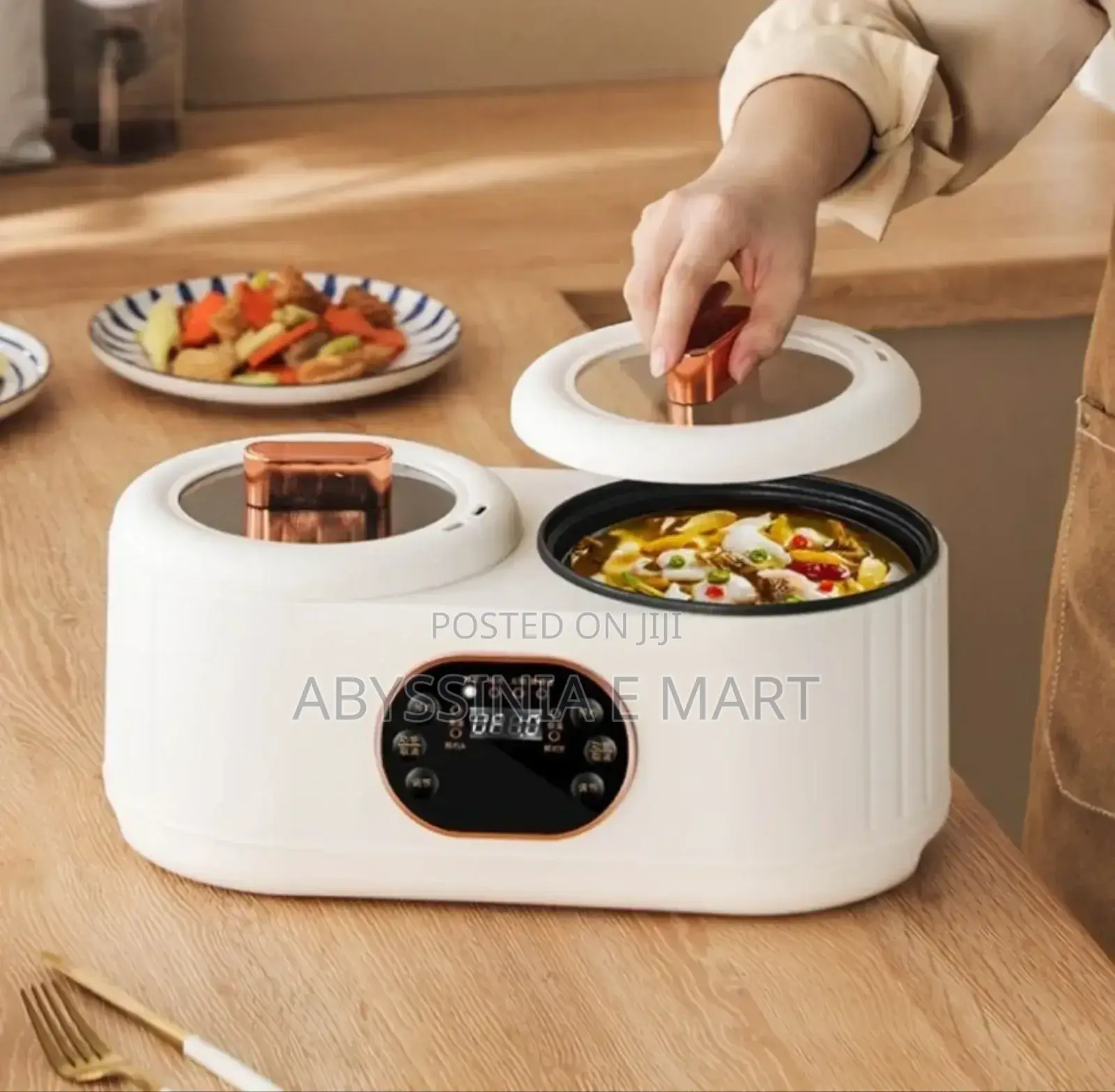 Intelligent Double Cooking Pot