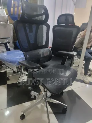 Photo - Full Mesh Egronomic Chair