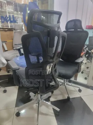Full Mesh Egronomic Chair