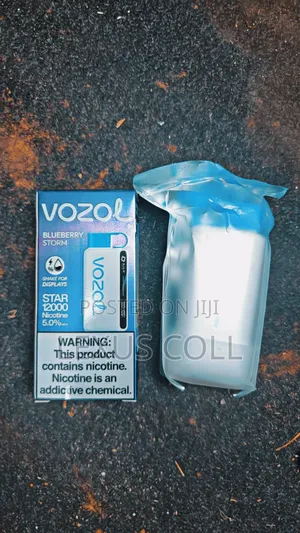 Vozol Vape 12,000 Puff Blueberry
