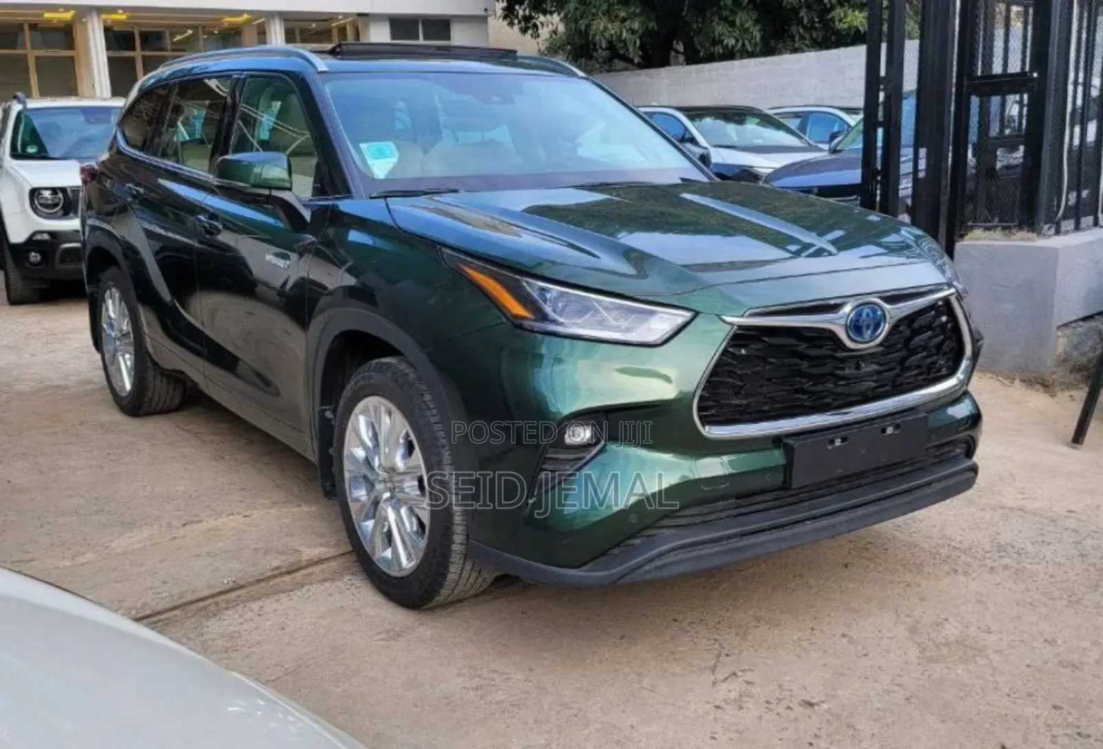 Toyota Highlander Hybrid 2023 Green
