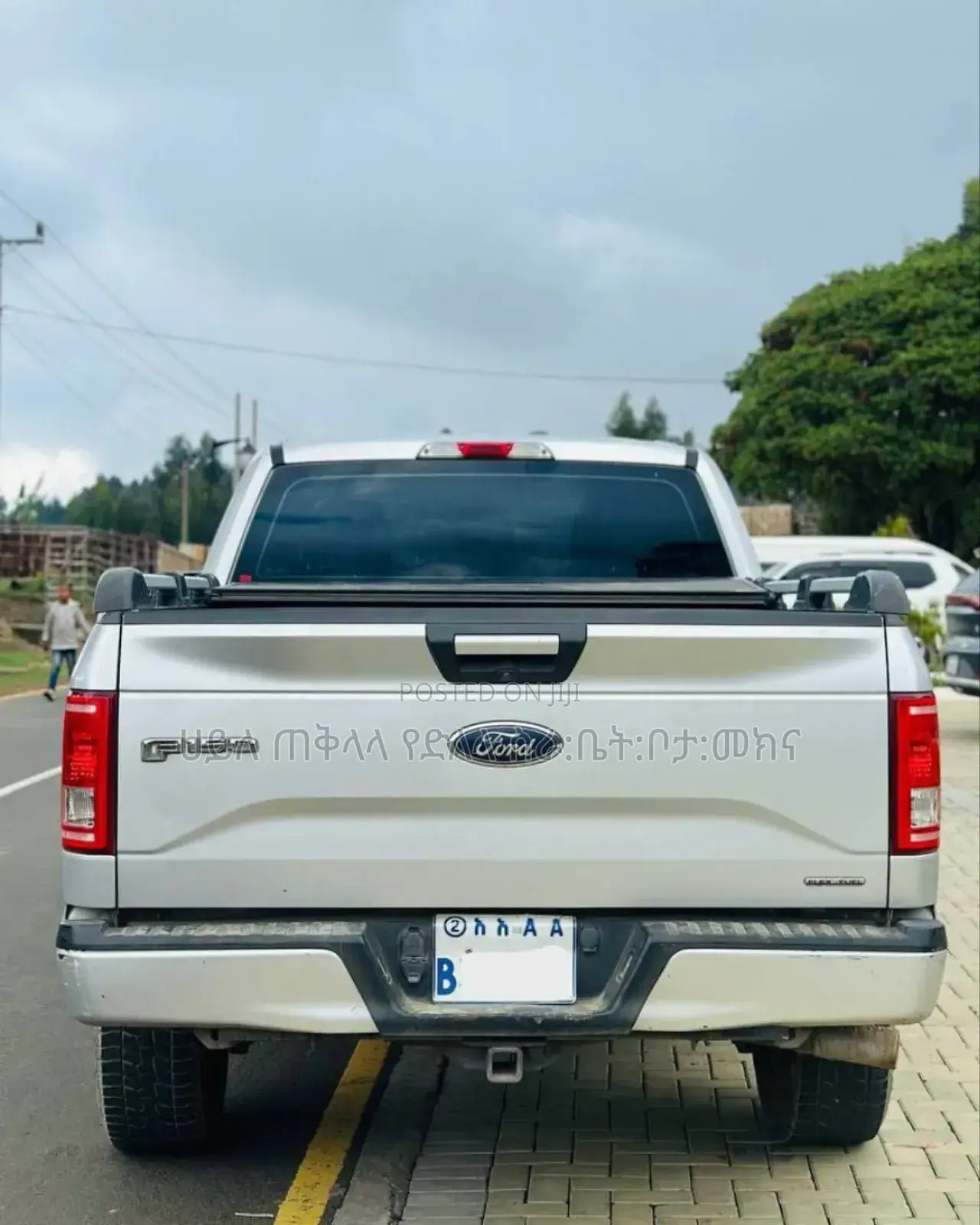 Ford F-150 2015 Silver