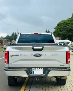 Ford F-150 2015 Silver