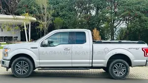 Ford F-150 2015 Silver