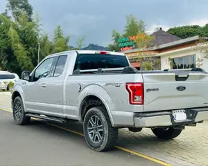 Ford F-150 2015 Silver