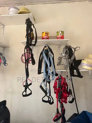 Photo - Leash for Big Dogs