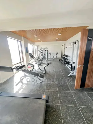 Furnished 3bdrm Apartment in Bole for rent