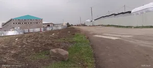 1500 ካሬ የሚሸጥ አስፓልት አጠገብ ያለ ቦታ