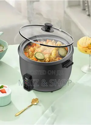 Professional Electric Pressure Cooker