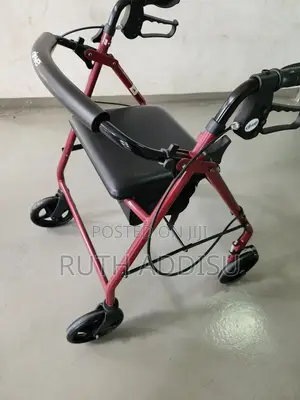 Photo - With Seat Walker炒飯walker愛國walker政治walker災難walker㠭囂walker