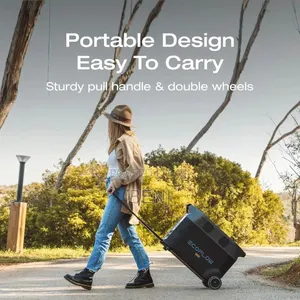 Ecoflow Delta Pro Portable Power Station 3600w-4500w 3600wh