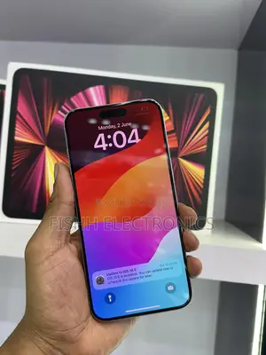 Apple iPhone 15 Pro Max 256 GB Gray