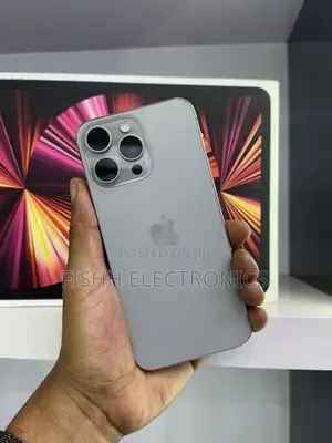 Apple iPhone 15 Pro Max 256 GB Gray