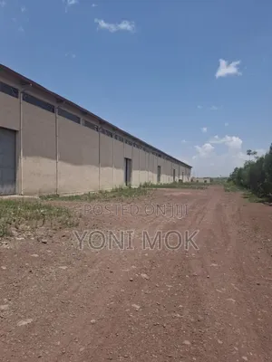 Warehouse for Rent (占地面积 )At Sheger City