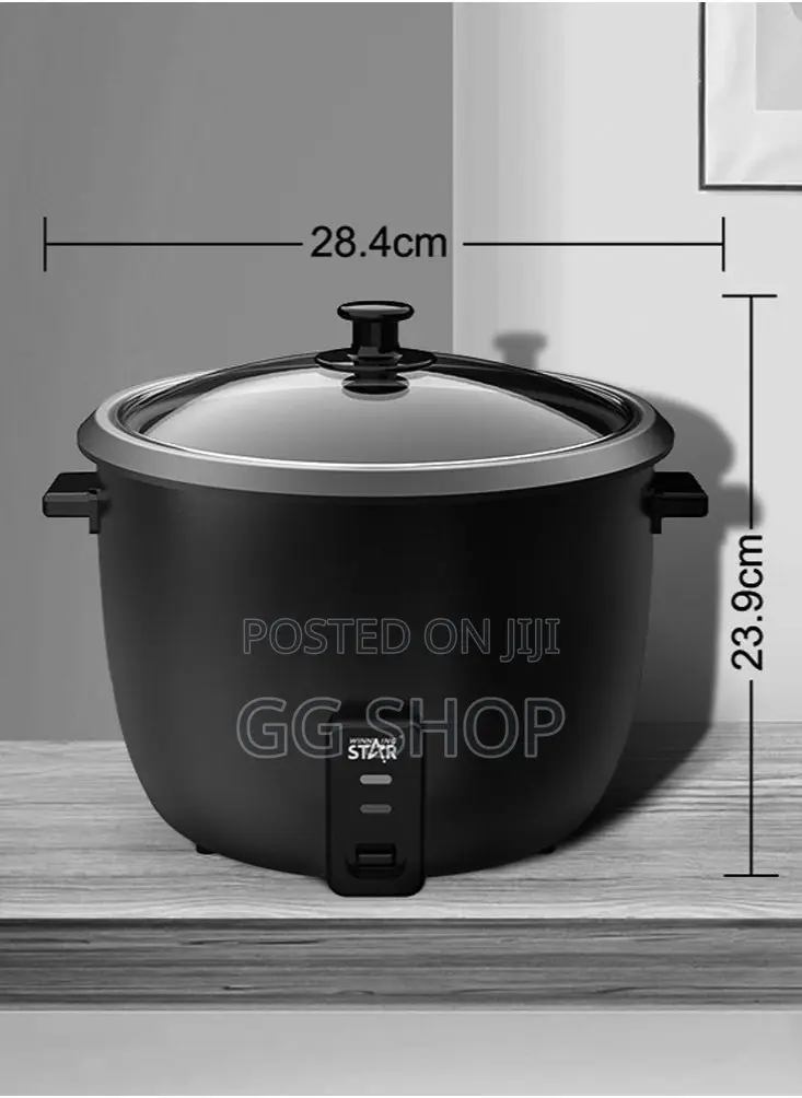 Professional Electric Pressure Cooker