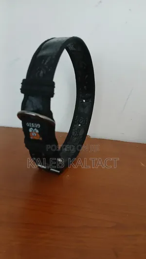 Dog Leather Collar