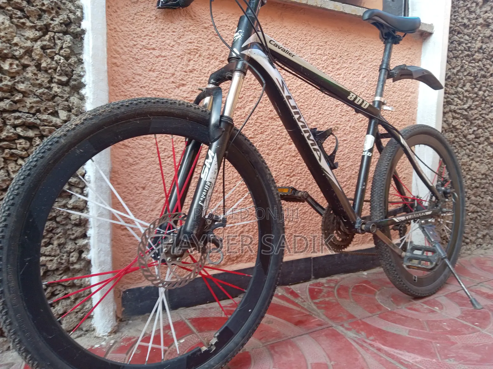 Summa Cavalier Bike || Mountain Bicycle