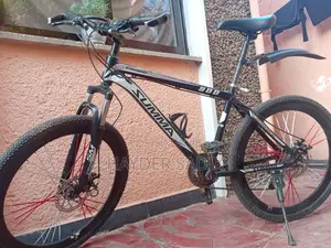 Summa Cavalier Bike || Mountain Bicycle