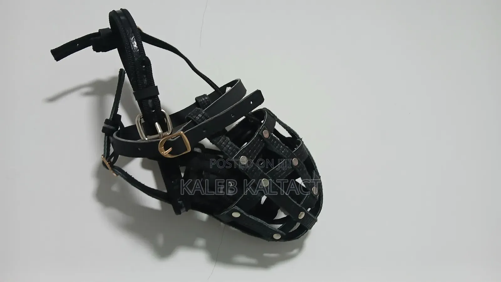 Dog Muzzle (Mouse Guard)