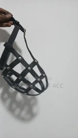 Dog Muzzle (Mouse Guard)