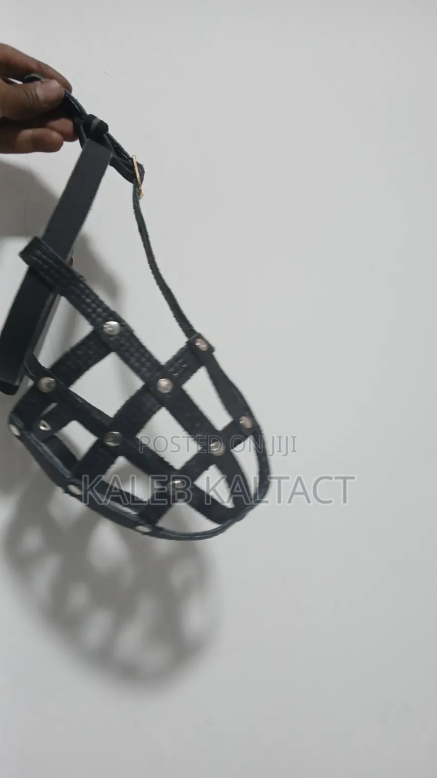 Dog Muzzle (Mouse Guard)