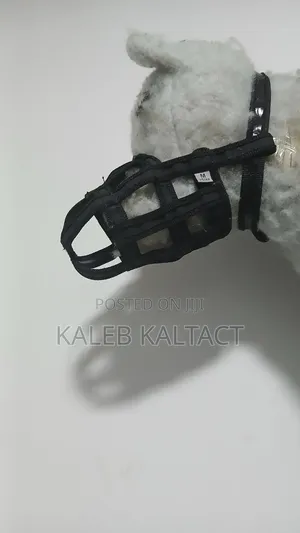 Dog Muzzle (Mouse Guard)