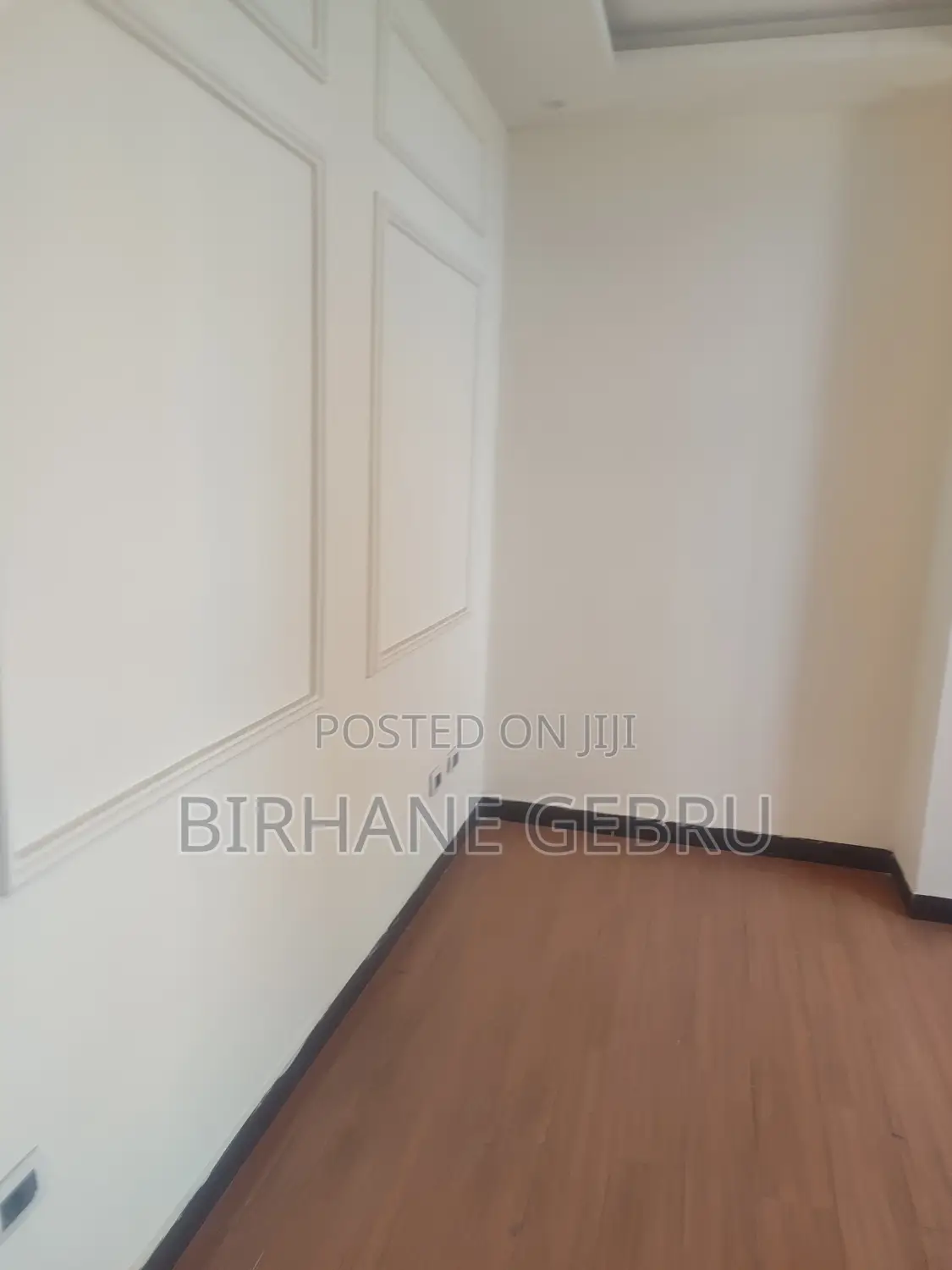 Luxury Apartiment Rent for Office or Business