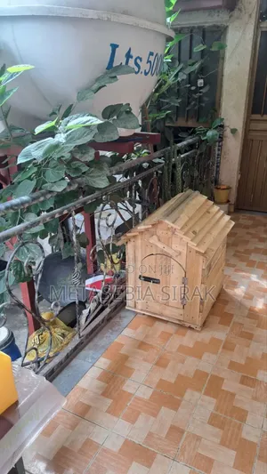 House for Dogs or Any Pets