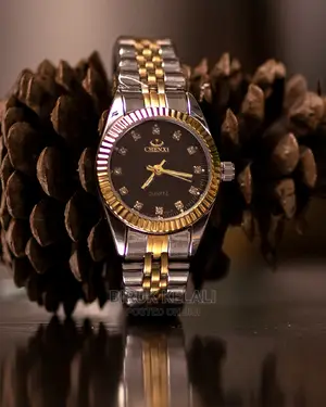 Womens Stylish and Elegance Watch