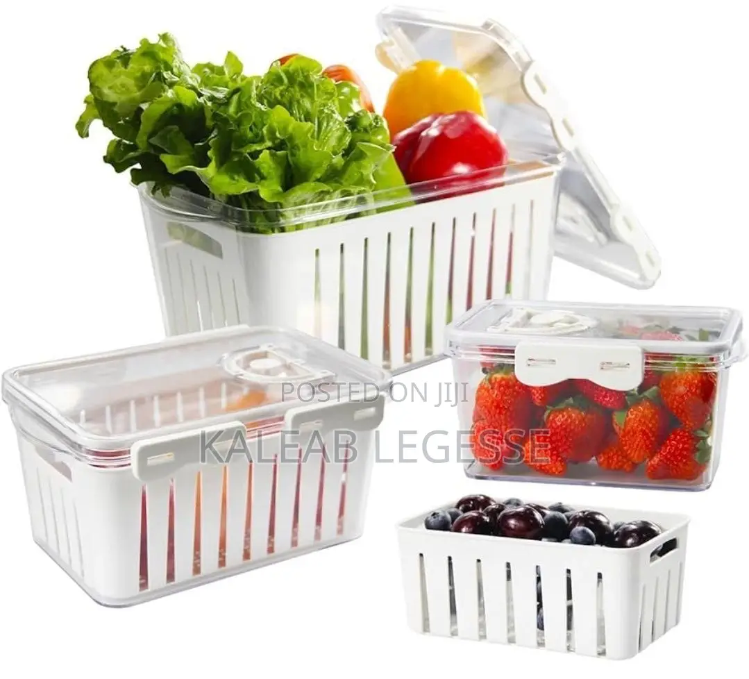 4pcs Storage Box for Fruit,Meat and Vegetables