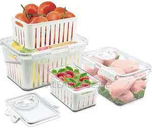 4pcs Storage Box for Fruit,Meat and Vegetables