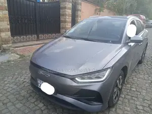 New BYD E2 43 kWh 94 hp FWD 2024 Silver