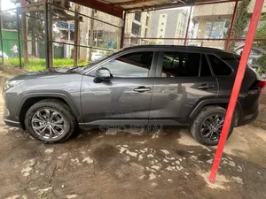 New Toyota RAV4 2023 Gray