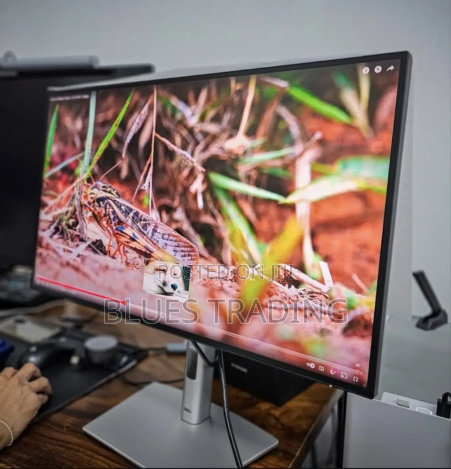 Monitor U2723qe, 27 Inch at Index1997