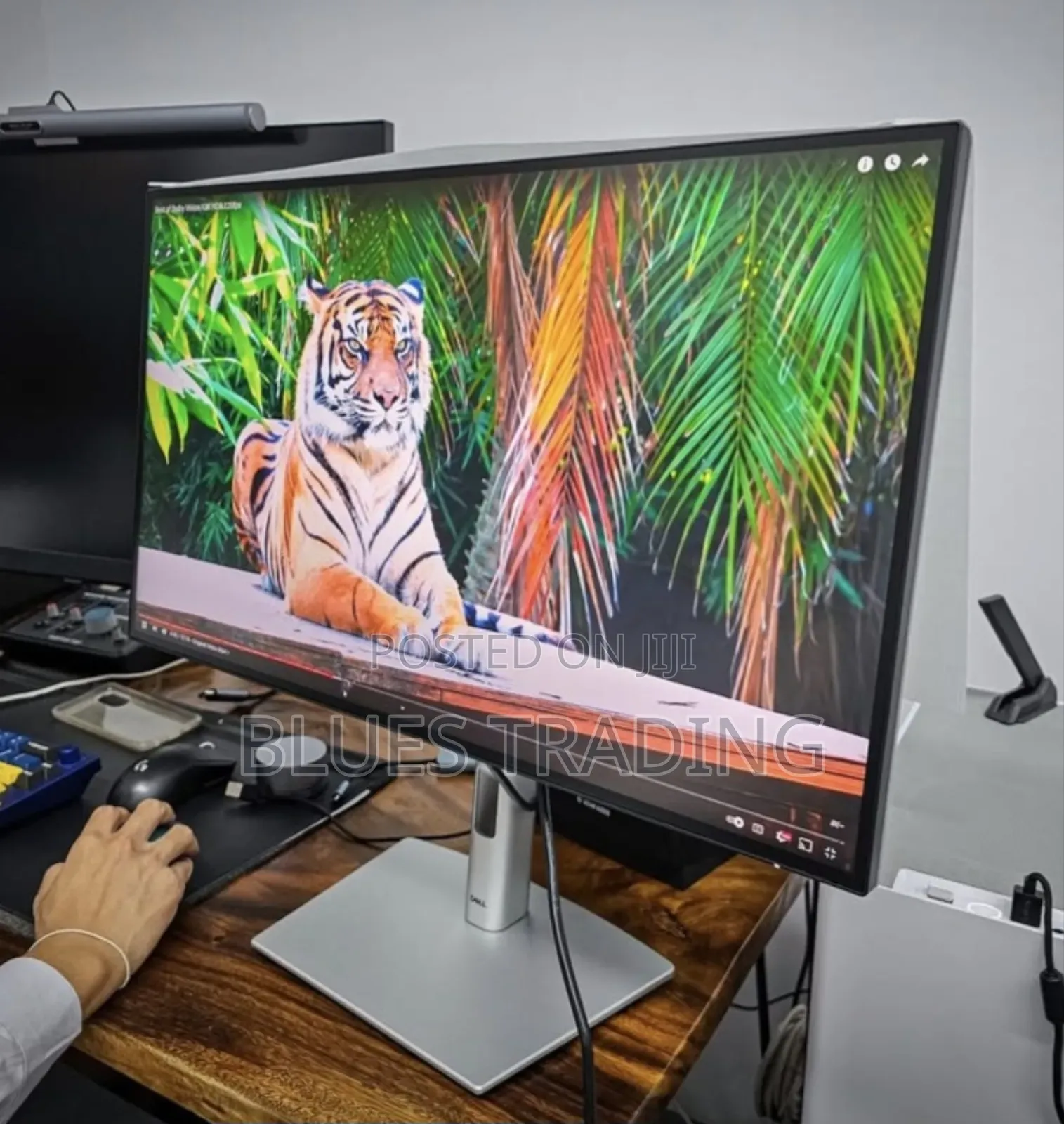 Monitor U2723qe, 27 Inch at Index1997