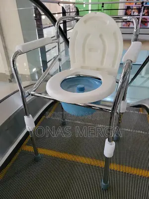 Universal Raised Toilet Seat黛ðshower Seat With Padde Cushion