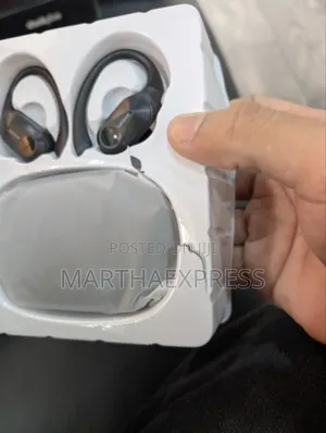 Lenovo Thinkplus Earhook