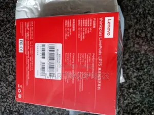 Lenovo Thinkplus Earhook Wireless Bluetooth Ear Speaker Lp75