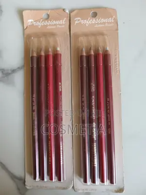 Professional Make-up Lipliner/Eyeliner Pencil (4 In 1)