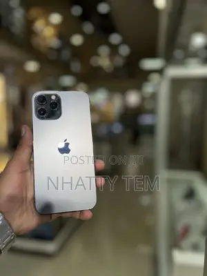 Apple iPhone 12 Pro Max 512 GB Gray