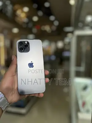 Apple iPhone 12 Pro Max 512 GB Gray