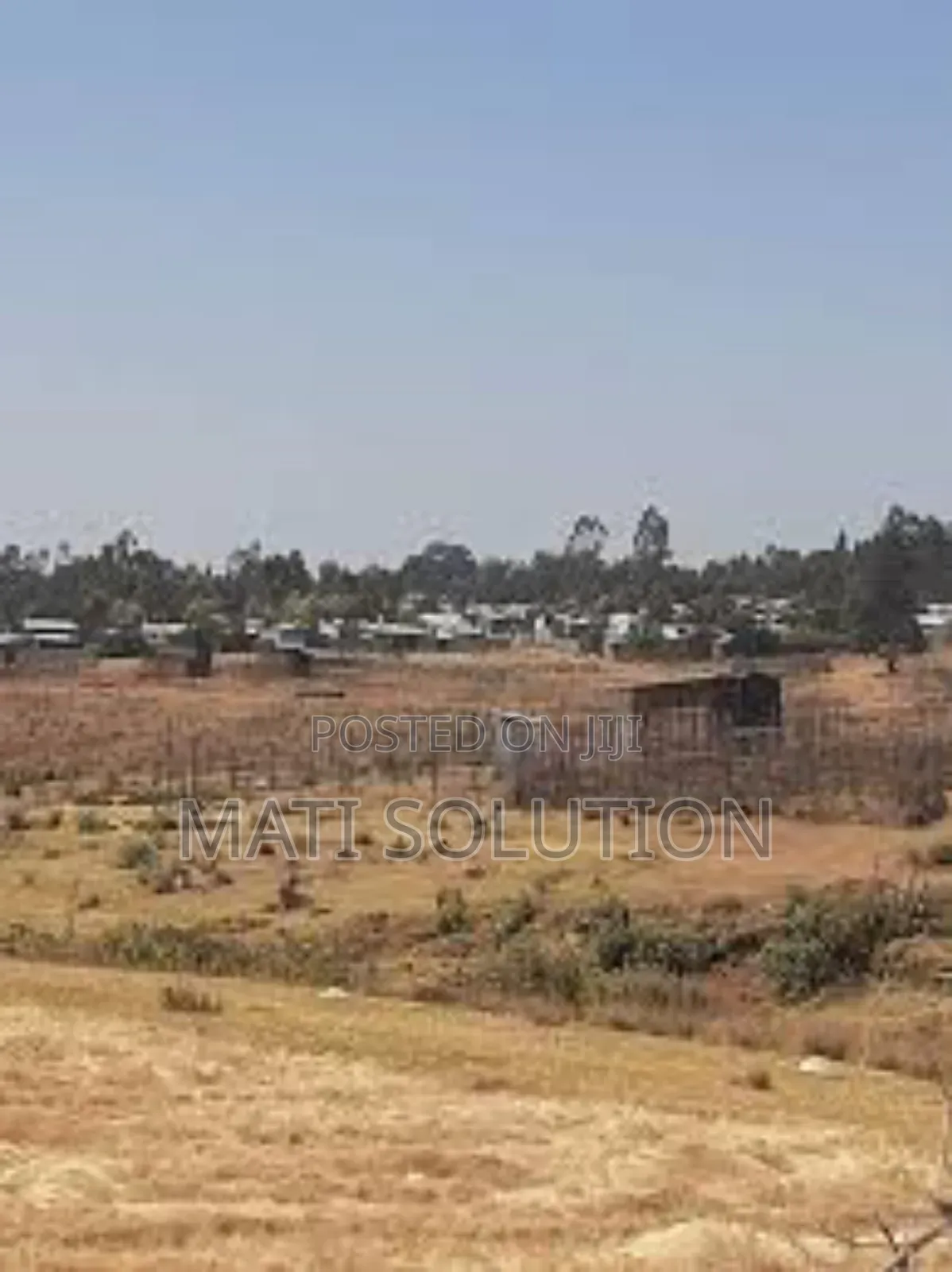 Emshx Merxe Bota Ke Adama Wexa Belo Wed Asela Emiyaskedw