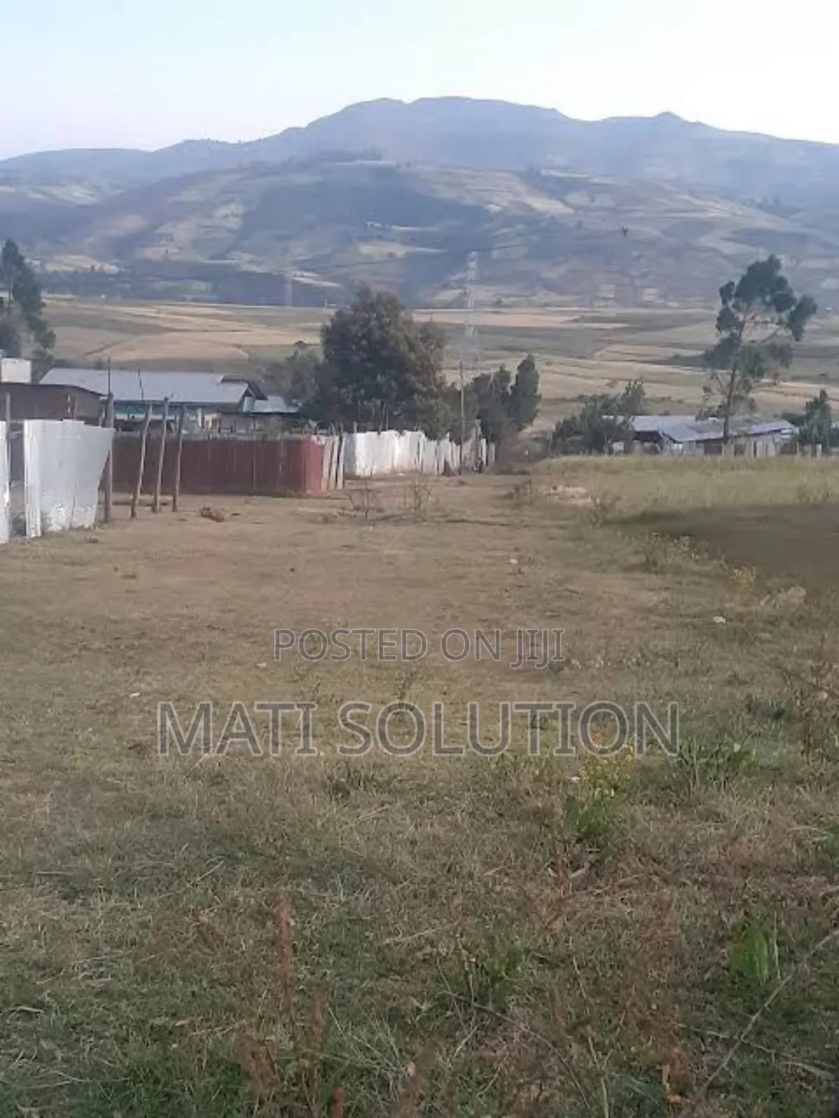 Emshx Merxe Bota Ke Adama Wexa Belo Wed Asela Emiyaskedw