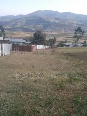 Emshx Merxe Bota Ke Adama Wexa Belo Wed Asela Emiyaskedw