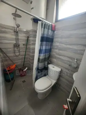 Furnished 2bdrm Apartment in Bole for rent