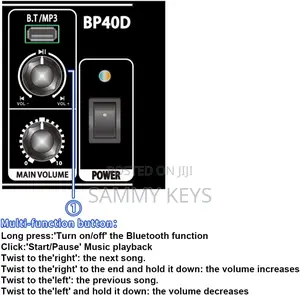 Coolmusic Bp40d Powered Acoustic Guitar Amplifier