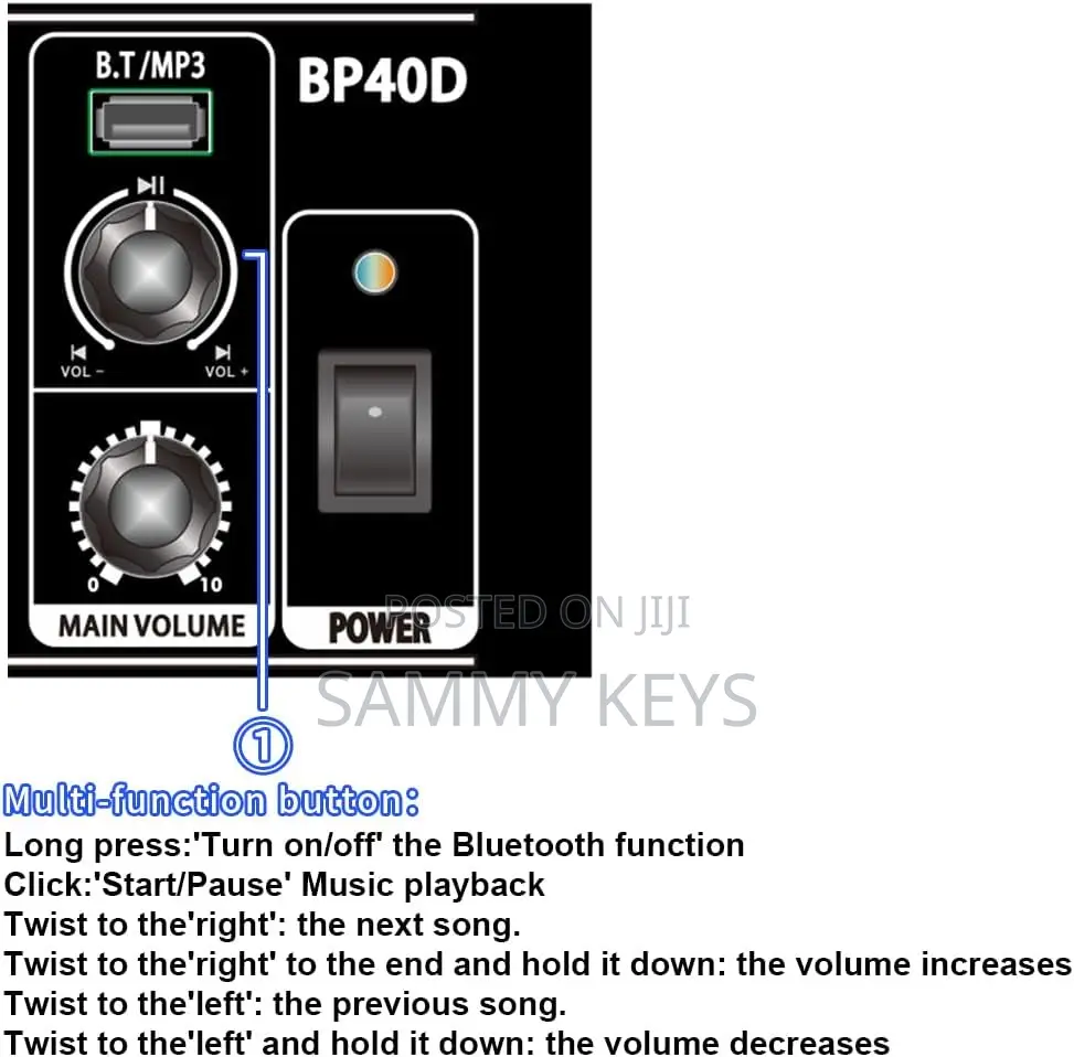 Coolmusic Bp40d Powered Acoustic Guitar Amplifier