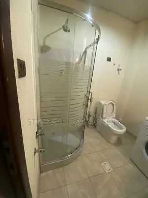 Furnished 1bdrm Apartment in Bole for rent